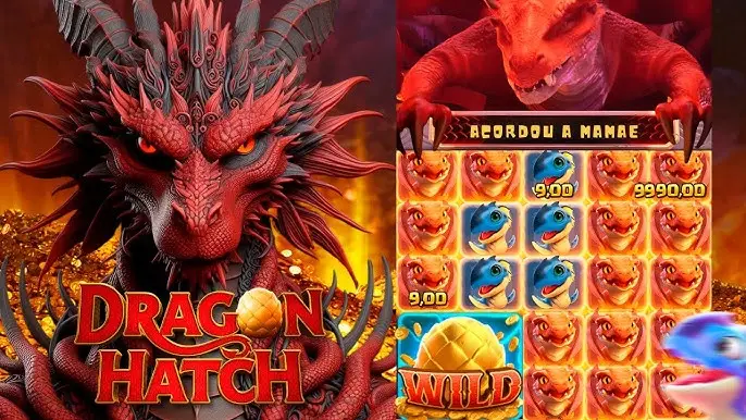 Best Bankroll Strategies for Dragon Hatch