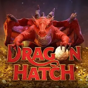 Dragon Hatch icon